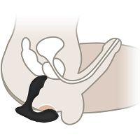 PROSZTÁTA MASSZIROZÓJA 12 FUNKCIÓ KÉT ERŐS VIBRÁLÓ MOTORRAL JOBB SZTIMULÁCIÓ ÉRDEKÉBEN - 75502602 - 2